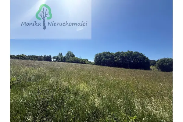 lidzbarski, Lidzbark Warmiński, Bugi, Działka rolna - 1,65 ha