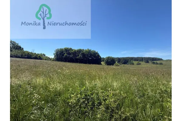 lidzbarski, Lidzbark Warmiński, Bugi, Działka rolna - 1,65 ha