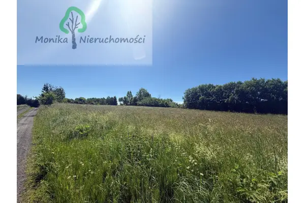 lidzbarski, Lidzbark Warmiński, Bugi, Działka rolna - 1,65 ha