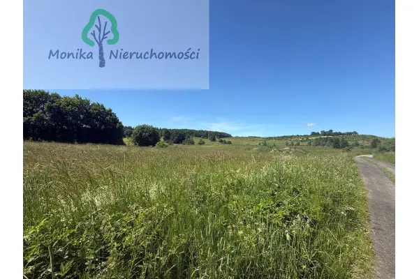 lidzbarski, Lidzbark Warmiński, Bugi, Działka rolna - 1,65 ha
