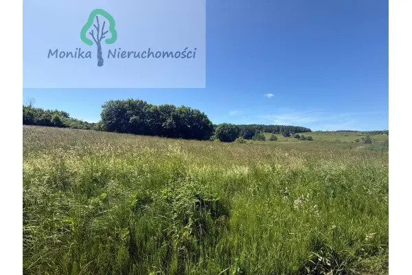 lidzbarski, Lidzbark Warmiński, Bugi, Działka rolna - 1,65 ha