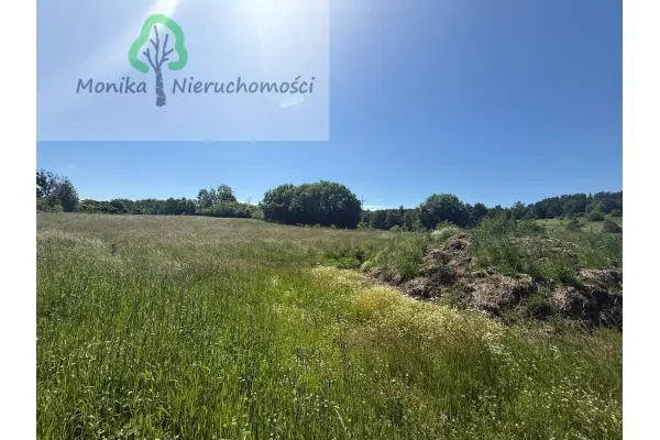 lidzbarski, Lidzbark Warmiński, Bugi, Działka rolna - 1,65 ha
