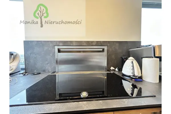 tczewski, Tczew, Lubiszewo Tczewskie, Wakacyjna, DOM NAD JEZIOREM Z BASENEM I PALMAMI