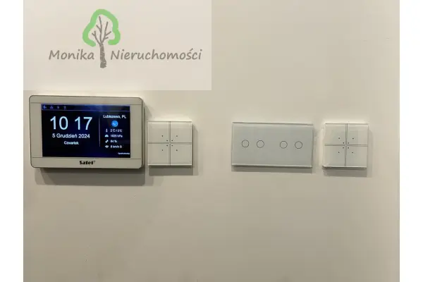 tczewski, Tczew, Lubiszewo Tczewskie, Wakacyjna, DOM NAD JEZIOREM Z BASENEM I PALMAMI